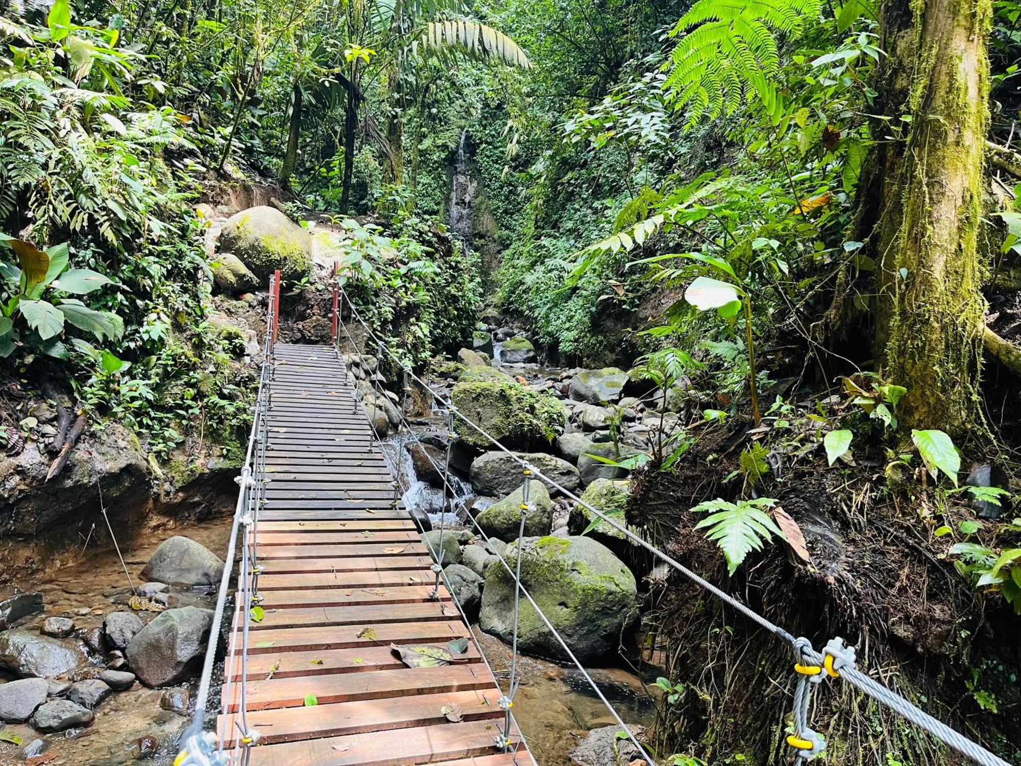 Wellness Park Cr Villa La Fortuna Eksteriør billede