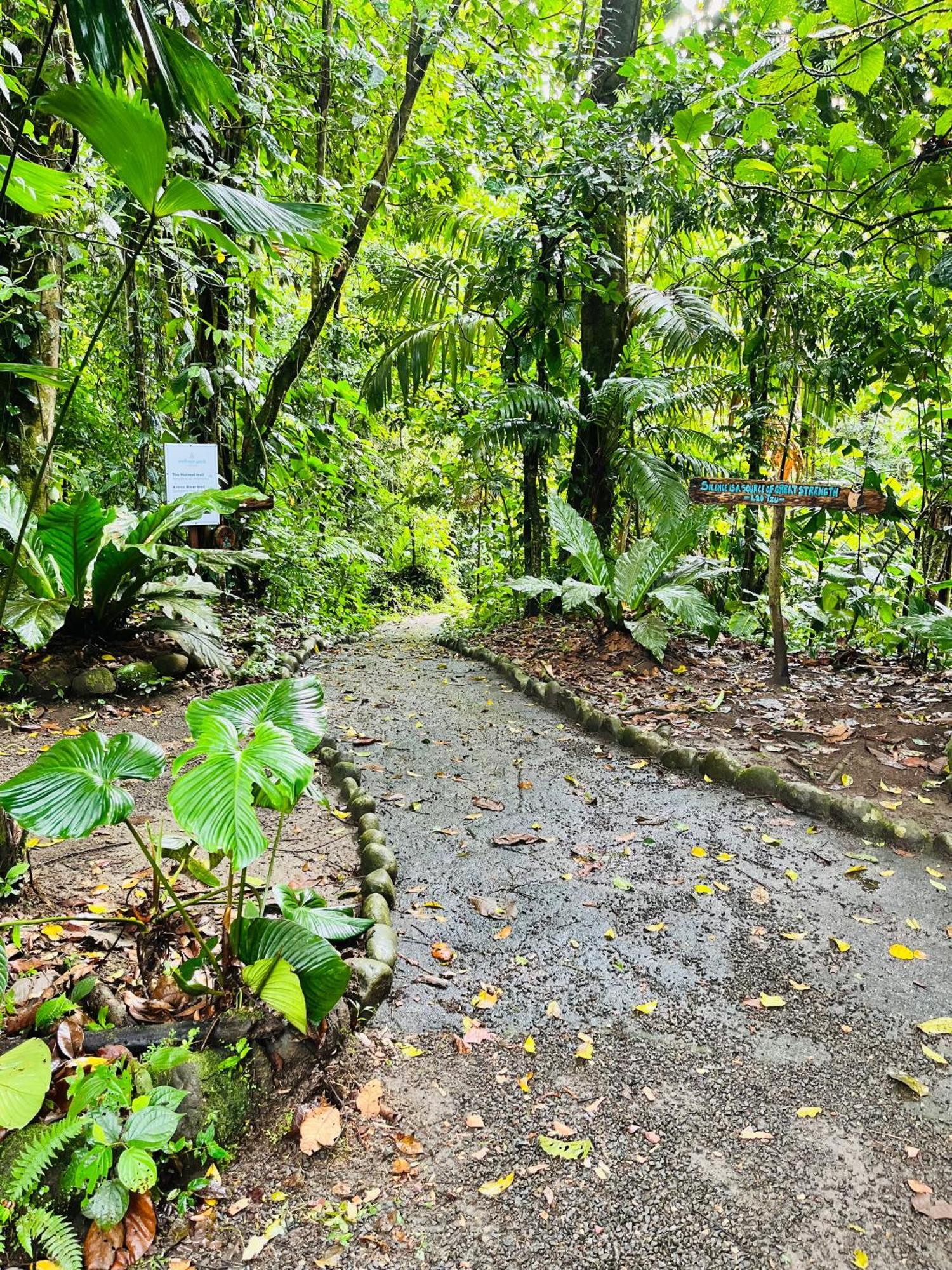 Wellness Park Cr Villa La Fortuna Eksteriør billede