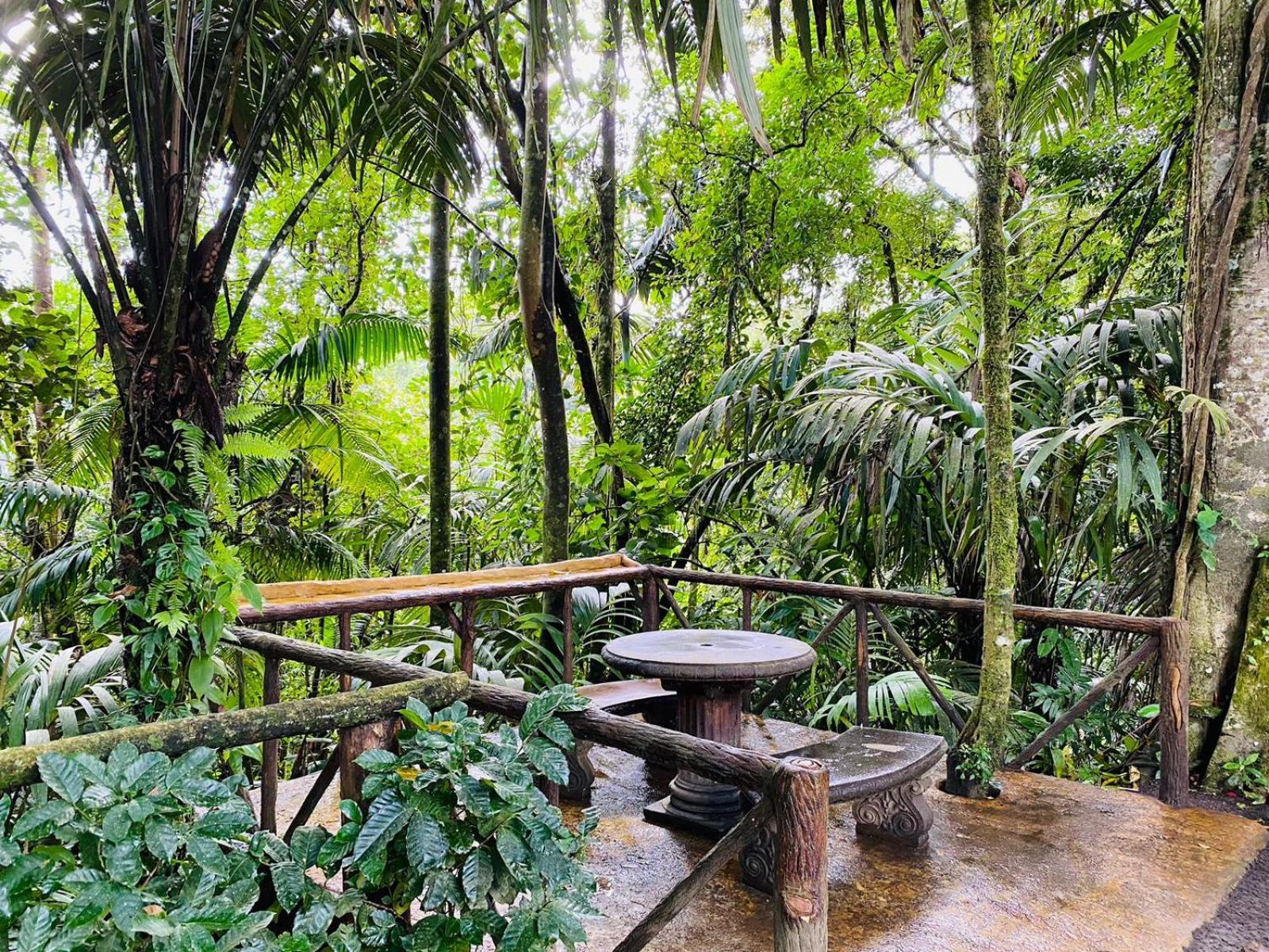 Wellness Park Cr Villa La Fortuna Eksteriør billede
