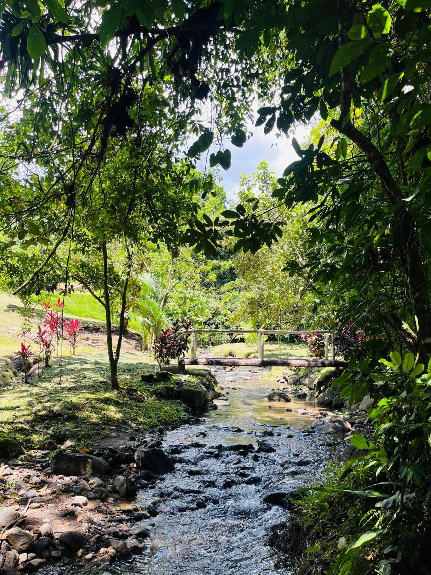 Wellness Park Cr Villa La Fortuna Eksteriør billede